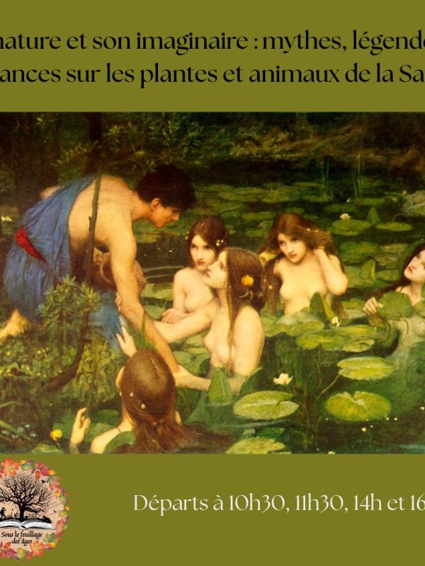 Sorties guidées à la Fête de l&rsquo;Eau de Gray (70) – &laquo;&nbsp;La nature et son imaginaire : mythes, légendes et croyances sur les plantes et animaux de la Saône&nbsp;&raquo;