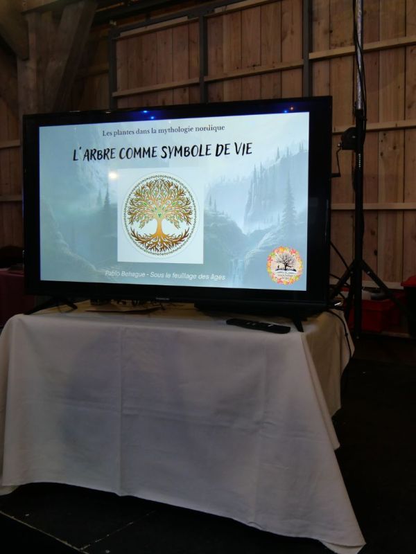 Conférence &laquo;&nbsp;Le symbolisme de l&rsquo;arbre dans la mythologie nordique&nbsp;&raquo;
